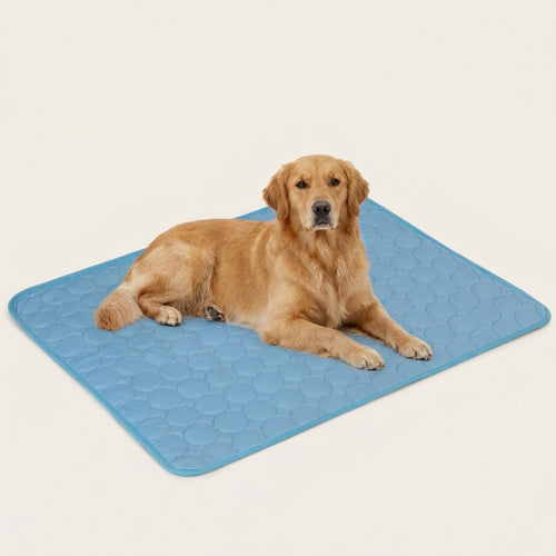 ChillNest Mat